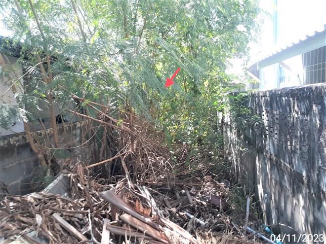 ที่ดินว่างเปล่าหลุดจำนอง ธ.ธนาคารกสิกรไทย มหาสารคาม เมืองมหาสารคาม ตลาด