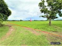 ที่ดินว่างเปล่าหลุดจำนอง ธ.ธนาคารกสิกรไทย มหาสารคาม โกสุมพิสัย หัวขวาง
